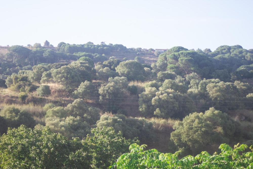 Refugio Do Ze Tobias Βίλα Quinta do Anjo Εξωτερικό φωτογραφία